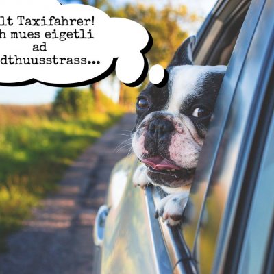 {"effects_tried":0,"photos_added":0,"origin":"gallery","total_effects_actions":0,"remix_data":[],"tools_used":{"tilt_shift":0,"resize":0,"adjust":0,"curves":0,"motion":0,"perspective":0,"clone":0,"crop":0,"enhance":0,"selection":0,"free_crop":0,"flip_rotate":0,"shape_crop":0,"stretch":0},"total_draw_actions":0,"total_editor_actions":{"border":0,"frame":0,"mask":0,"lensflare":0,"clipart":0,"text":0,"square_fit":0,"shape_mask":0,"callout":0},"source_sid":"DA80D275-2B42-4539-B7C6-AF1C77FACD6A_1575567110437","total_editor_time":66,"total_draw_time":0,"effects_applied":0,"uid":"DA80D275-2B42-4539-B7C6-AF1C77FACD6A_1575567110417","total_effects_time":0,"brushes_used":0,"height":853,"layers_used":0,"width":1280,"subsource":"done_button"}