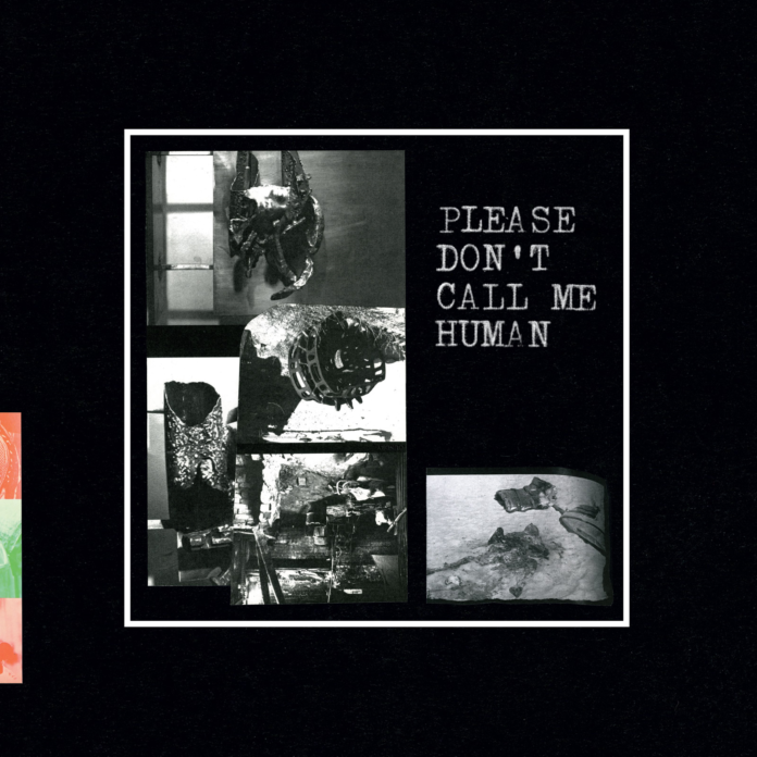 Album der Woche: „Please Don't Call Me Human“ von Penkowski