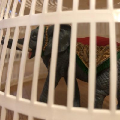 WhatsApp Image 2020-03-25 at 19.07.02