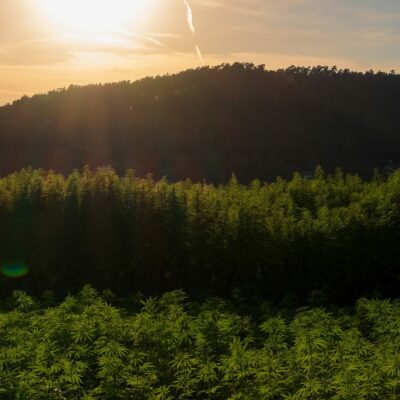 fields-g5343c206c_1920