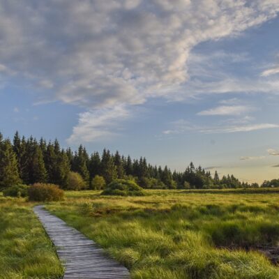 nature-g58c256a1e_1920