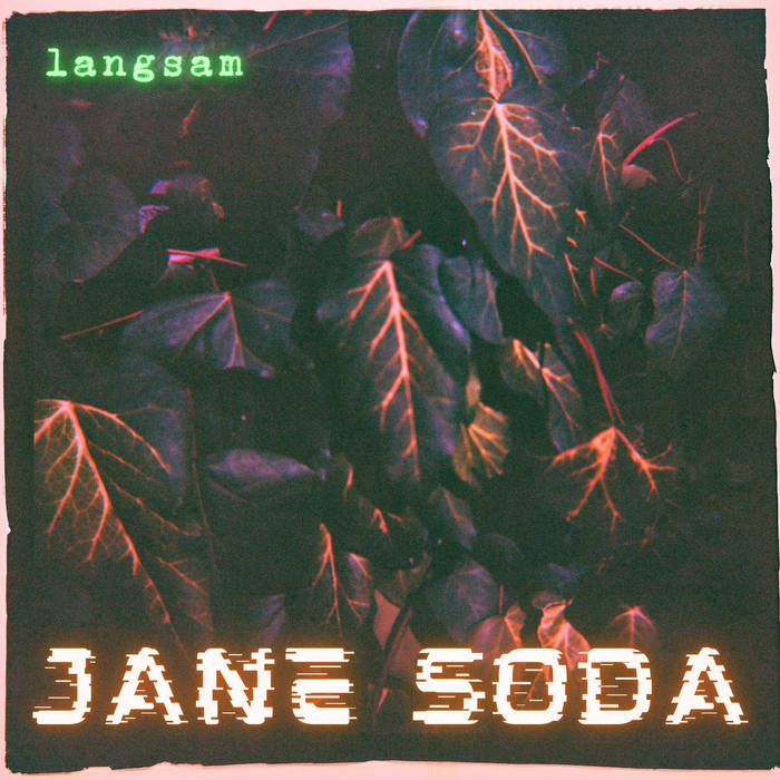 Das Debut Album von deconstructive-Swiss-Pop Duo Jane Soda ist geprägt von abstrakten Modular-Sounds und nachdrücklichen Texten über Themen wie die Klimakrise und Identität.