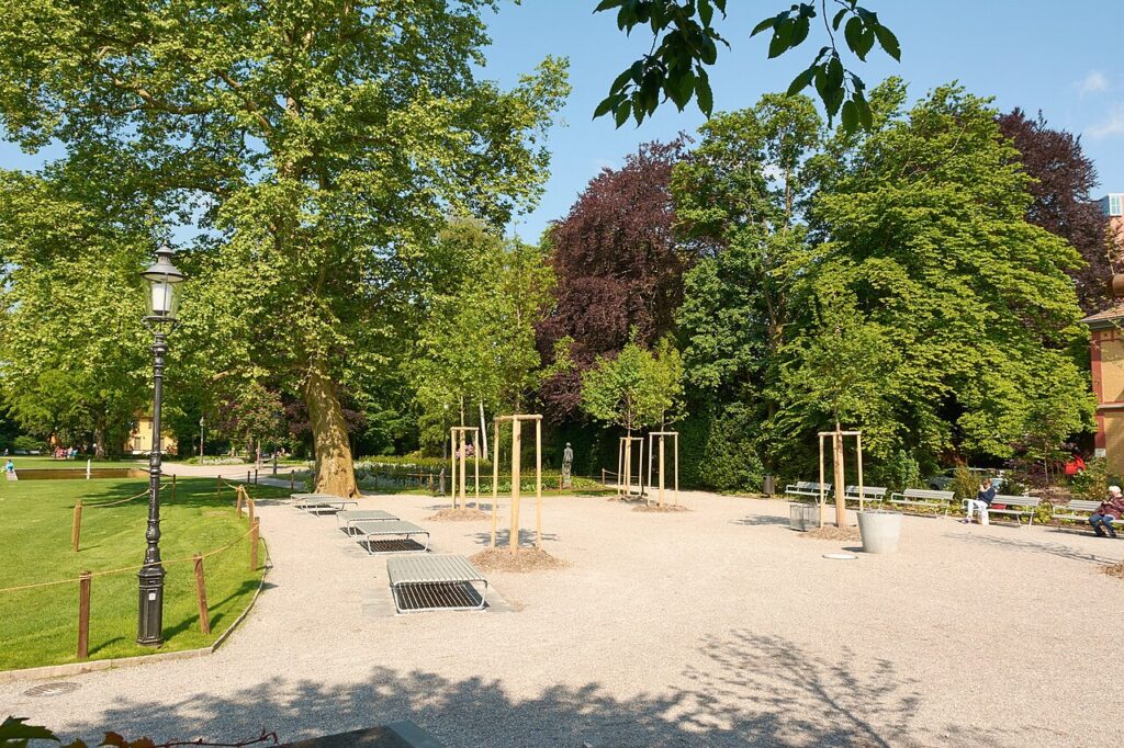 Beim Stadtgarten sollen Bäume gefällt werden. Sie riefen darum den Baumpfleger Fabian Dietrich zu einer Begehung vor Ort. Wir haben mit ihm darüber gesprochen.