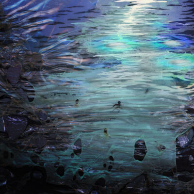 Albumcover Stimmerman