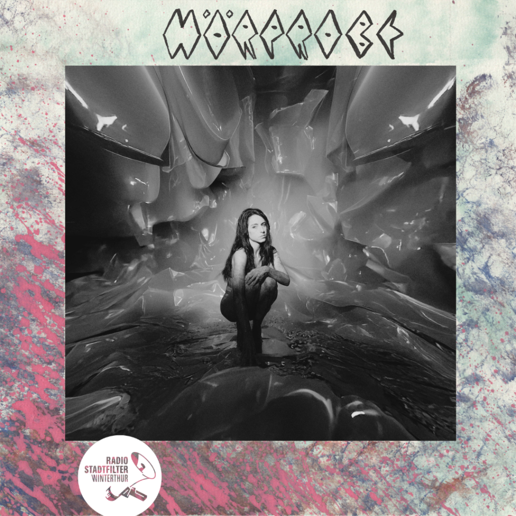 Zwei Alben werden auseinandergenommen, wie ein sich häutendes Insekt.